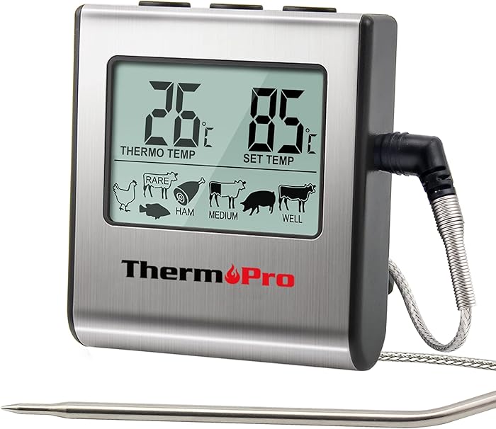 ThermoPro TP16